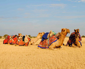Jaisalmer Desert